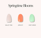 Springtime Blooms