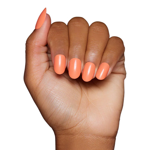 Apricot